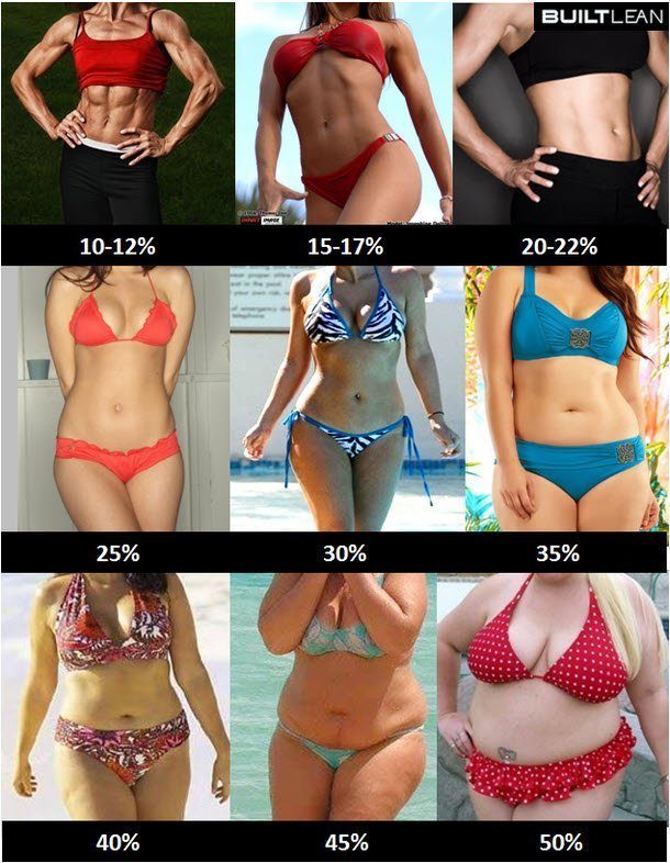Examples of Different Body Fat Percentages For Women